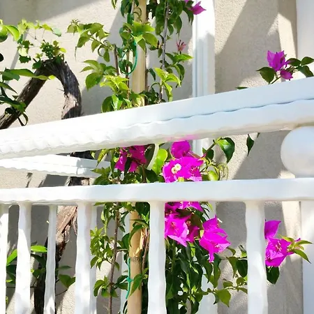 Luxury New !!! One And Only With Terrace & Free Bikes *